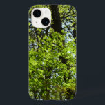 Vår Maple Löv Natature<br><div class="desc">Det är vår tid när perfekt grönt löv börjar på träd - inga bitor eller sjukdomar i insekten! Här är ett foto av vår maple löv på träd. Kolla in vår butik om du vill ha fler foton från vår träd. Det här bild är också ett exempel på "Vår Maple...</div>