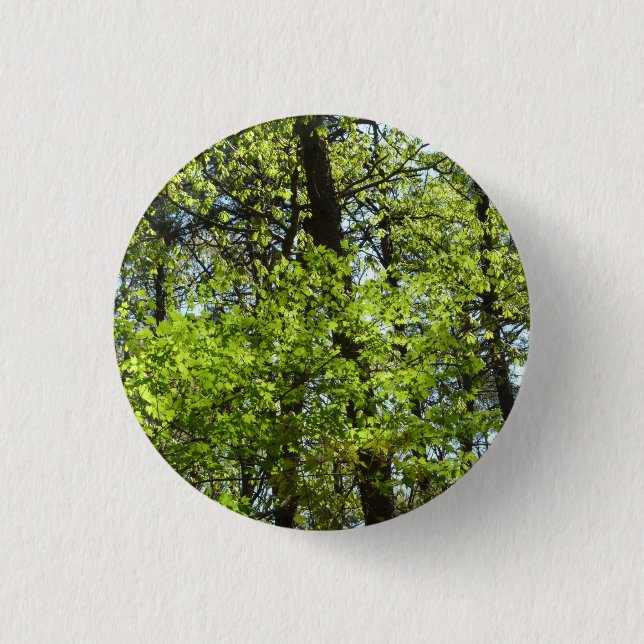 Vår Maple Löv Natature Knapp (Framsida)