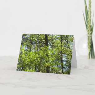 Vår Maple Löv Natature Kort