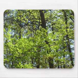 Vår Maple Löv Natature Musmatta