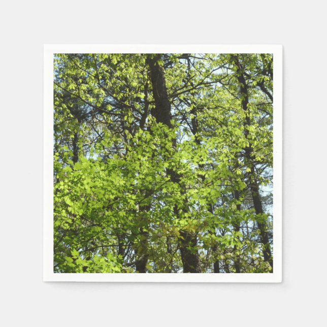 Vår Maple Löv Natature Pappersservett (Framsidan)
