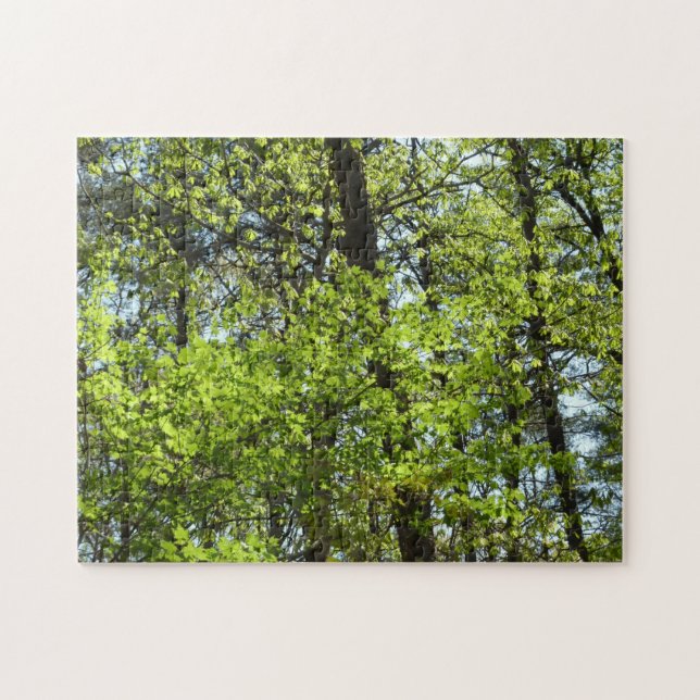 Vår Maple Löv Natature Pussel (Horisontell)