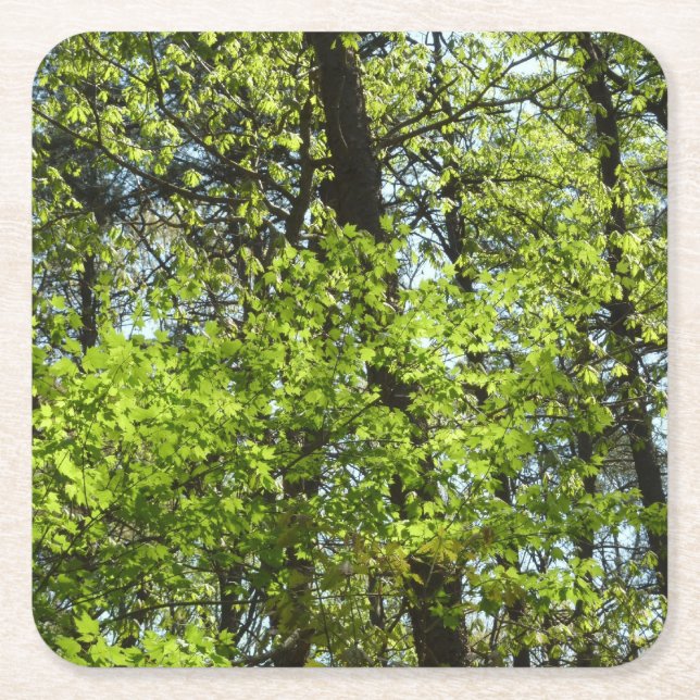 Vår Maple Löv Natature Underlägg Papper Kvadrat (Framsidan)