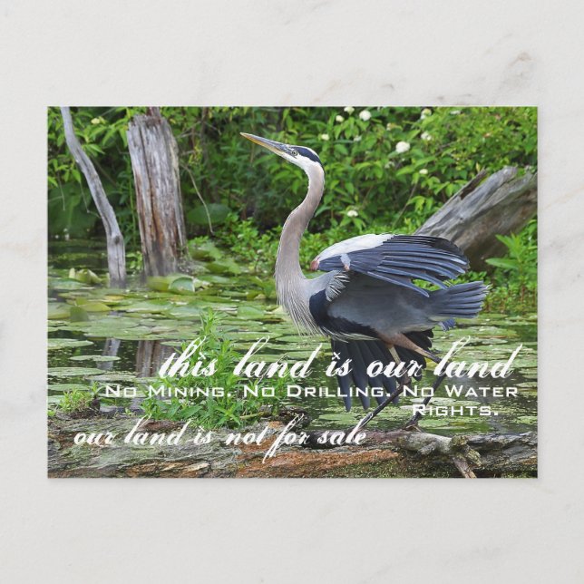 Vår mark: Cuyahoga Valley NP-vykort Vykort (Framsida)