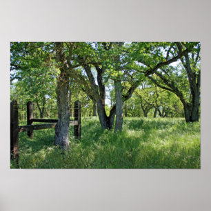 "Vår Meadow" Poster