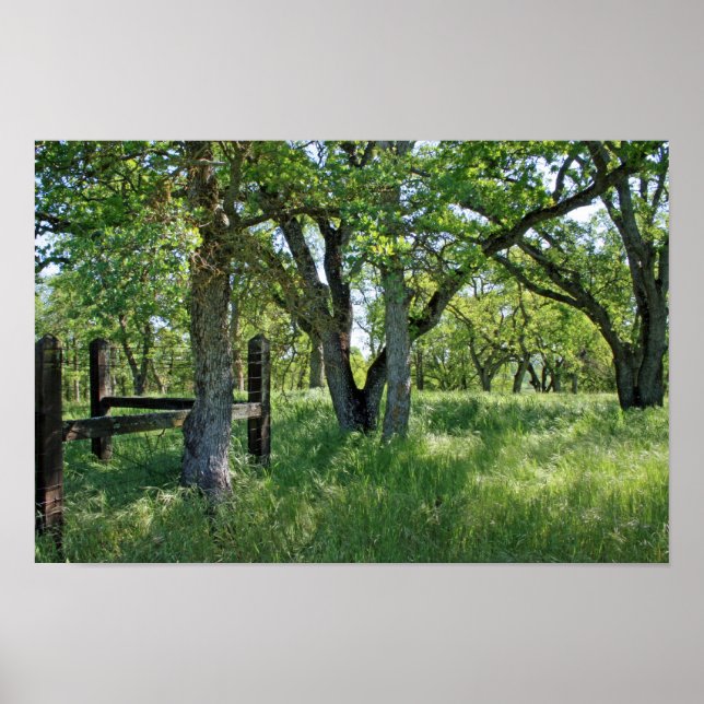 "Vår Meadow" Poster (Framsidan)