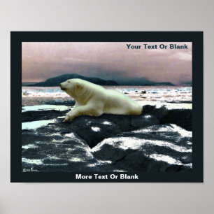 Vår Melt Polar Bear Poster