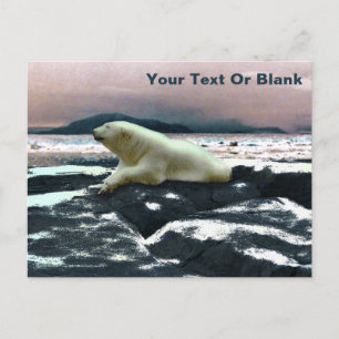 Vår Melt Polar Bear Vykort