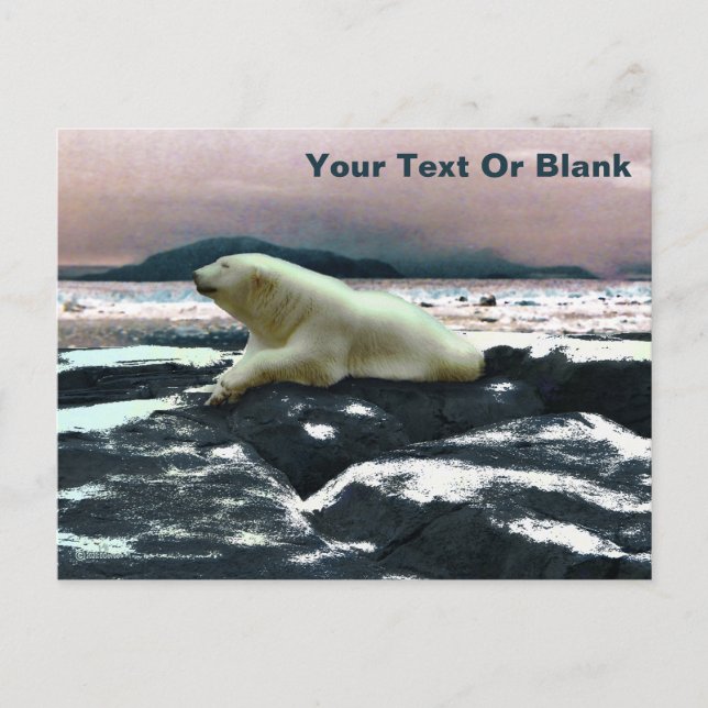 Vår Melt Polar Bear Vykort (Framsida)