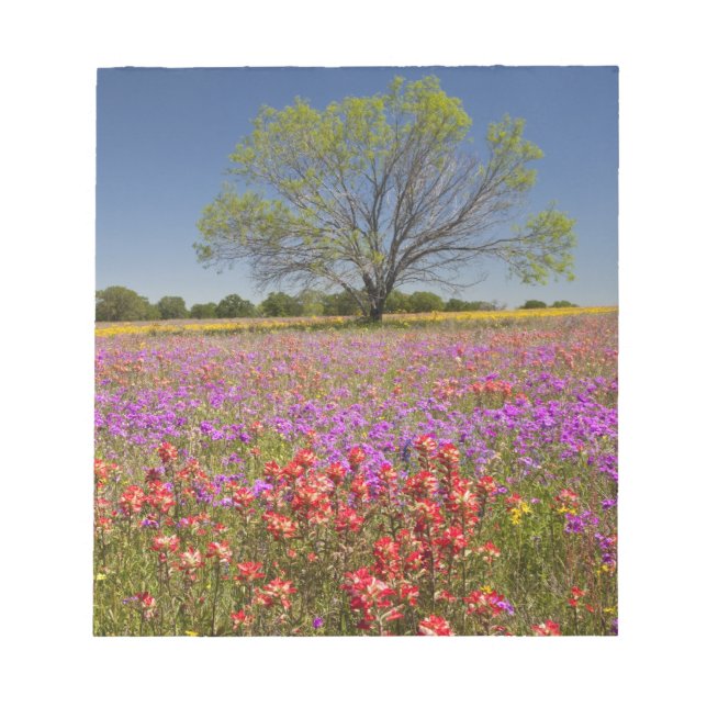 Vår mesquite-träd växer i vildblommor, anteckningsblock (Framsida)