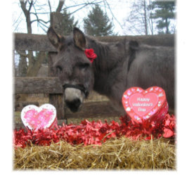 "Var min älskling!" Semestkort Helgkort