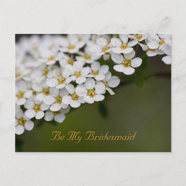 Var min Bridesmaid Postcard Spiraea Vykort (Framsida)