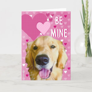Var Min Golden Retriever Hund Valentine’s Dag Kort