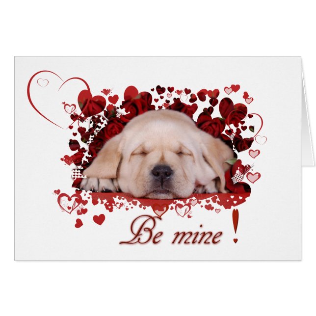 Var min hälsningskort (Framsidan Horizontal)