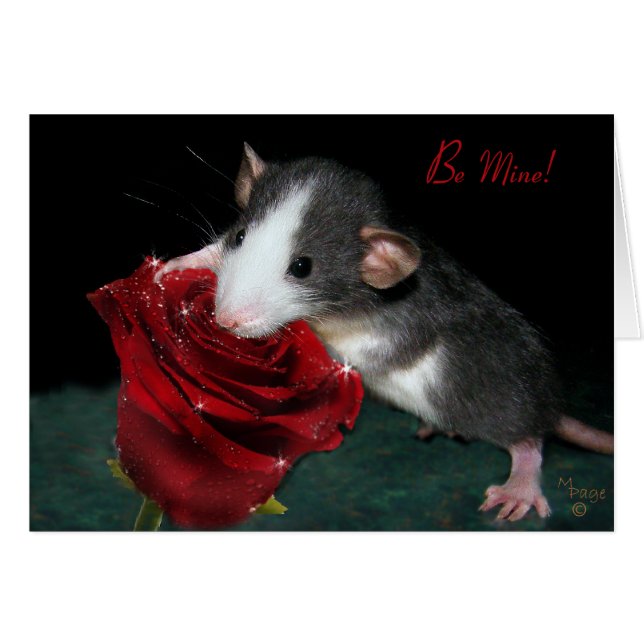 Var min! hälsningskort (Framsidan Horizontal)