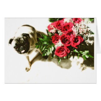 Var min hälsningskort