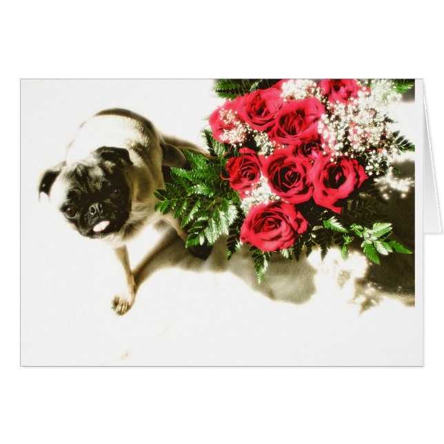 Var min hälsningskort (Framsidan Horizontal)