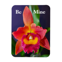 Var min Orange, orchid Flexible Magnet