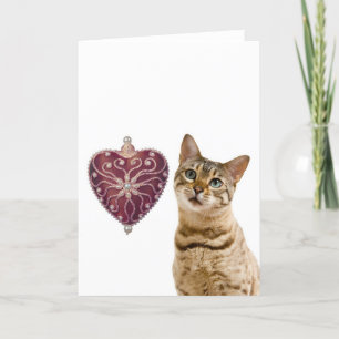 Var min valentin med den gulliga kattungen och helgkort