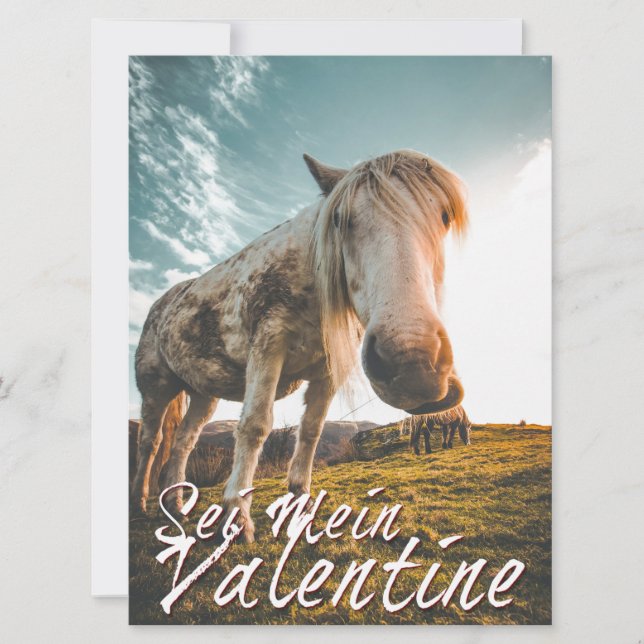 Var min Valentin med häst som tittar V2.0 (Framsida)