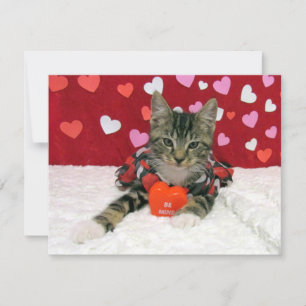 Var min Valentine - Bandit Cat/Kitten - Flat Card Julkort