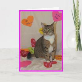 Var min, Valentine! Bella the Cat's Valentine Helgkort