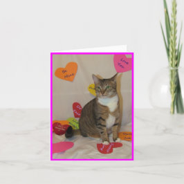 Var min, Valentine! Bella the Cat's Valentine Helgkort