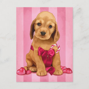Var min Valentine Cocker Spanska Helg Vykort
