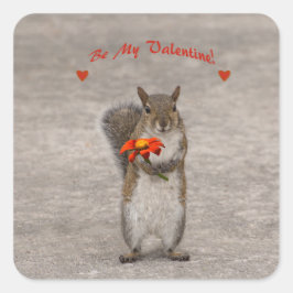 Var min Valentine från Cute Squirrel Fyrkantigt Klistermärke