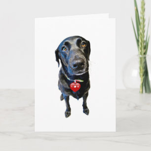 Var min Valentine Helgkort