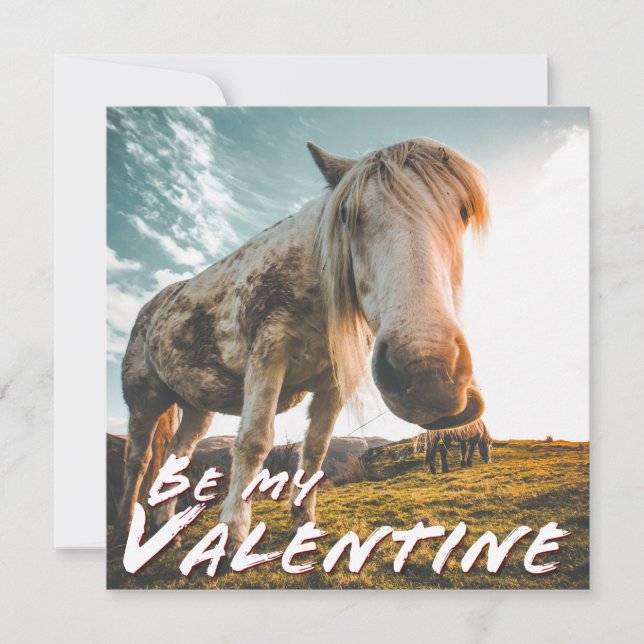 Var min Valentine med tittar horse (Framsida)