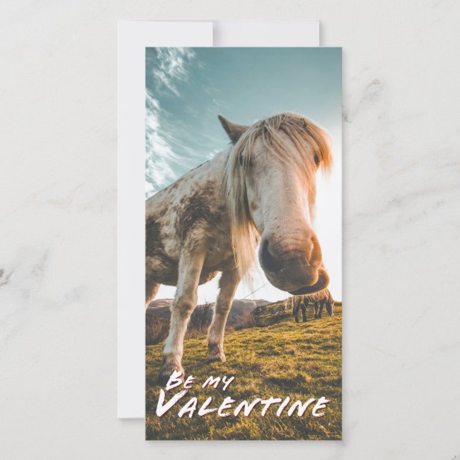 Var min Valentine med tittar horse (Framsida)