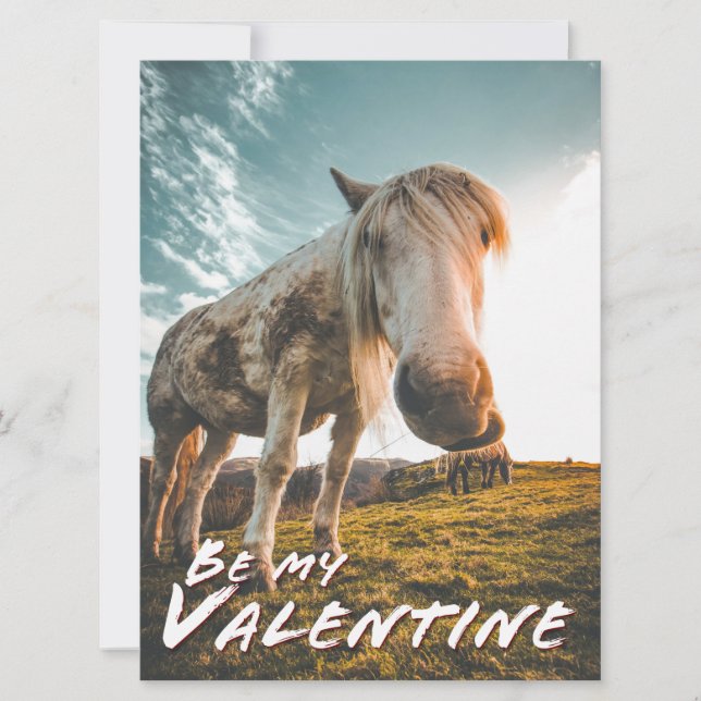 Var min Valentine med tittar horse (Framsida)