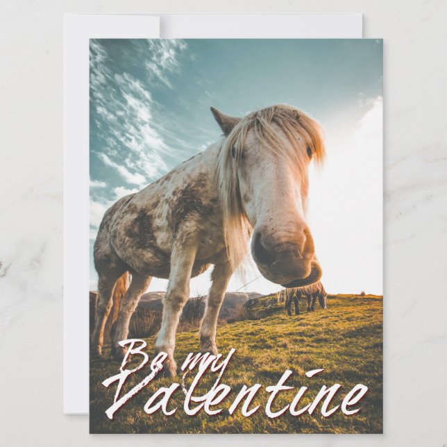 Var min Valentine med tittar horse V2.0 (Framsida)