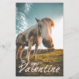 Var min Valentine med tittar horse V2.0