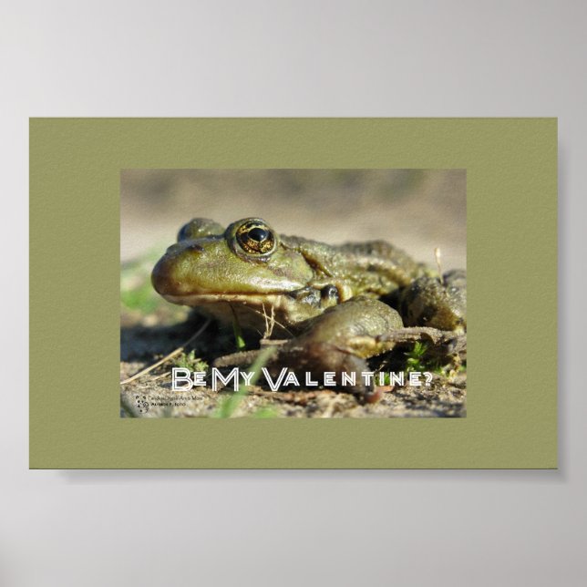 Var min Valentine Poster (Framsidan)