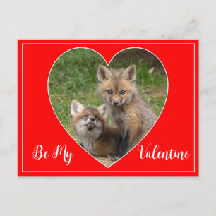 Var mina Valentine Foxes Vykort