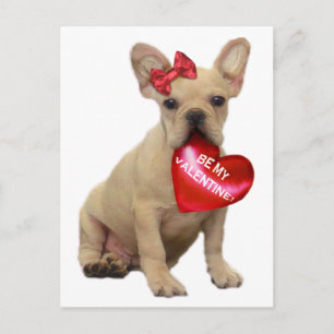 Var mitt vykort för Valentine Fransk-bulldog