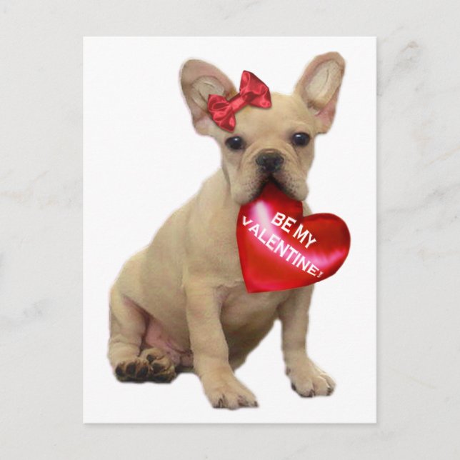Var mitt vykort för Valentine Fransk-bulldog (Framsida)