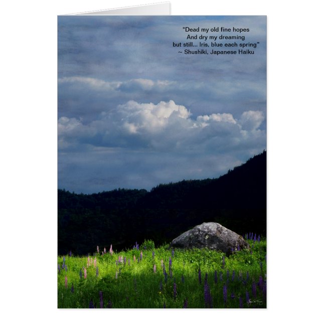 "Vår Moment"-kort Hälsningskort (Framsidan)