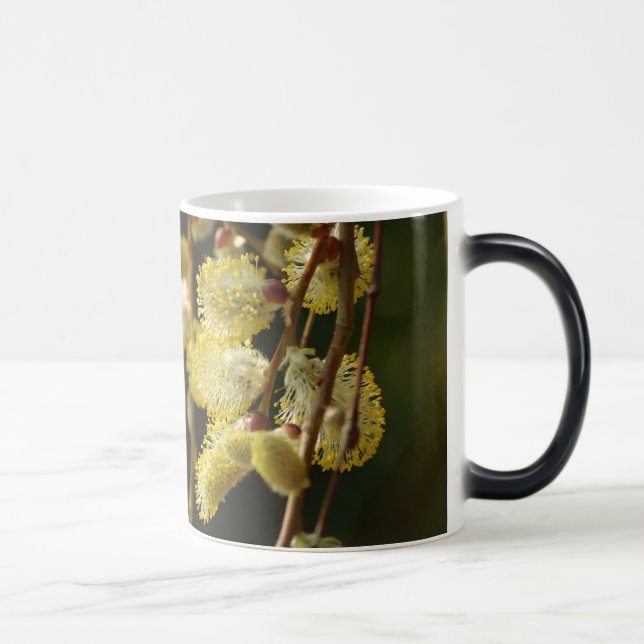 Vår Mugg (Höger)