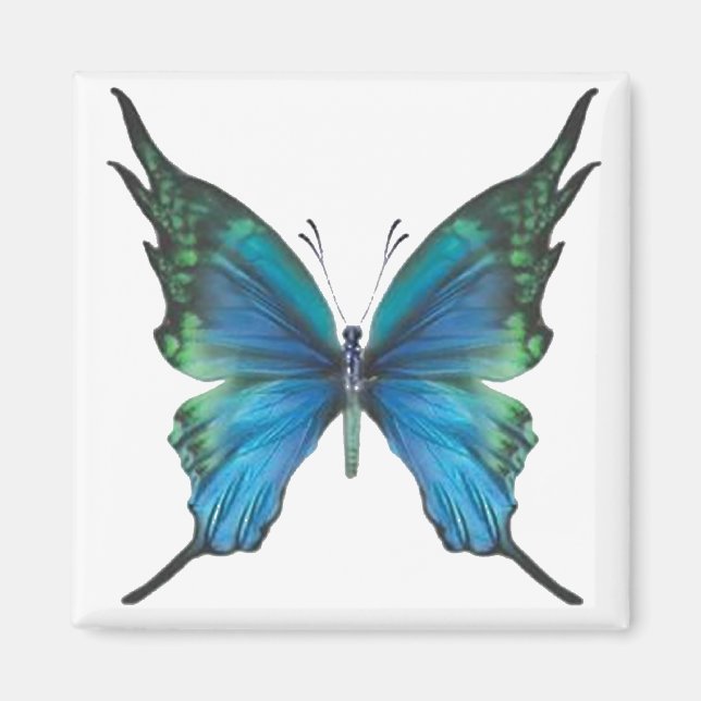 Vår Myst Magnet (Framsidan)