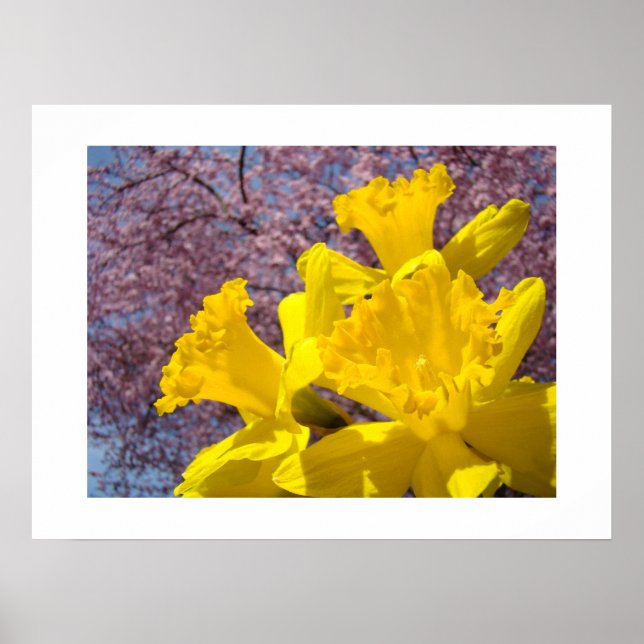 Vår Narciss Blommor Bouquet Fina Konsttryck Poster (Framsidan)