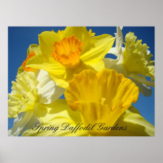 Vår Narciss Trädgård konsttryck Gula Blommor Poster