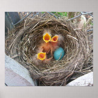 Vår New Birth Poster