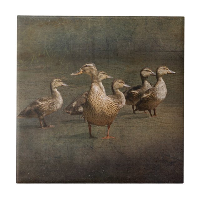 Var nu? kakelplatta (Framsidan)