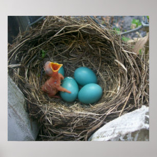 Vår ny ankomst poster