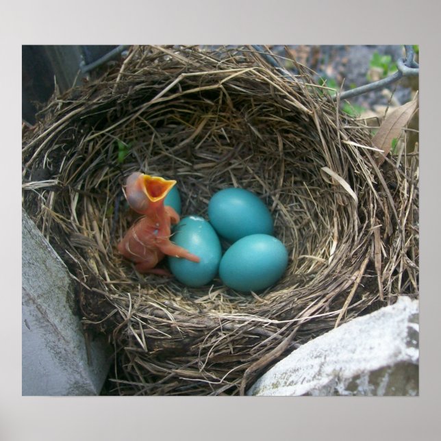 Vår ny ankomst poster (Framsidan)