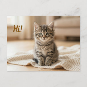 Vår nya kattunge fotomeddelande vykort