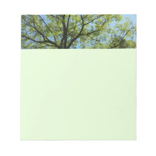 Vår Oak Träd Vibrant Natur Anteckningsblock